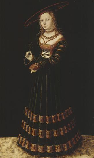 Lucas Cranach the Elder Portrait of a girl with forget-me-nots. Spain oil painting art